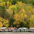 Boathouses with Fall Color