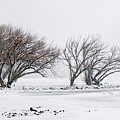 Snowy Shoreline in Ashland WI