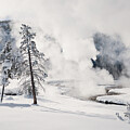 Winter in Yosemite